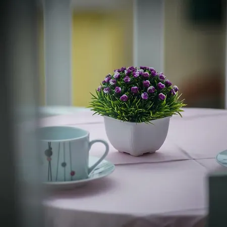 Snjezana Appartamento Makarska